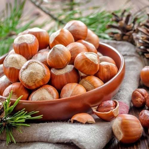 Фундук Шедевр Фундук Шедевр