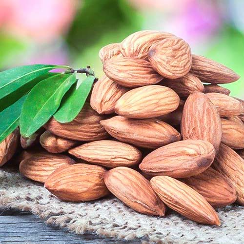 Миндаль Монтерей Миндаль Монтерей