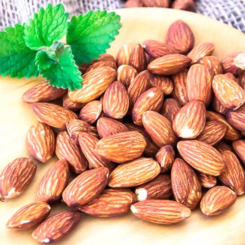 Миндаль Приморский Миндаль Приморский