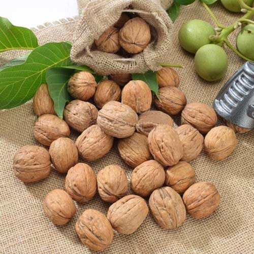 Орех грецкий Десертный Орех грецкий Десертный