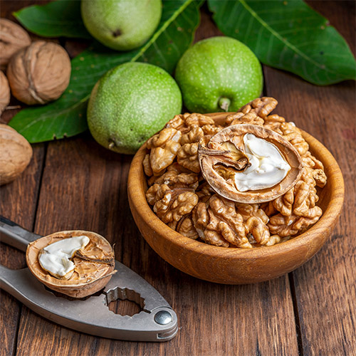 Орех грецкий Идеал Орех грецкий Идеал