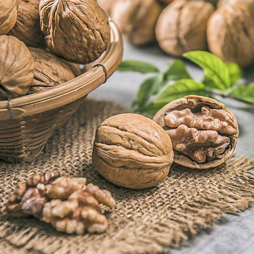 Орех грецкий Карлик Орех грецкий Карлик