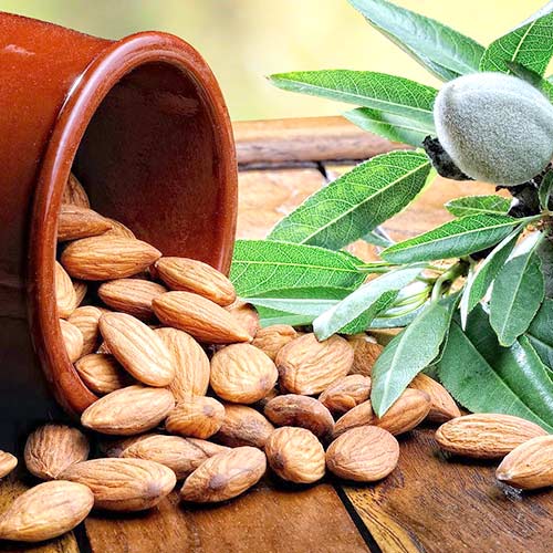 Миндаль Десертный Миндаль Десертный