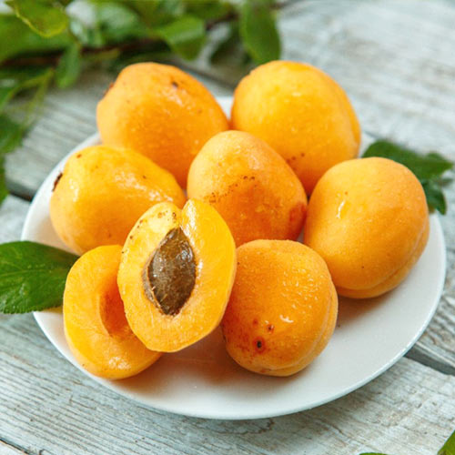 Абрикос Ананасный Абрикос Ананасный