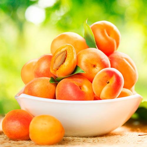 Абрикос Аврора Абрикос Аврора