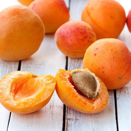 Абрикос Кармен Топ Абрикос Кармен Топ