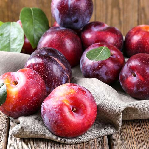 Алыча Блэк Голд Алыча Блэк Голд