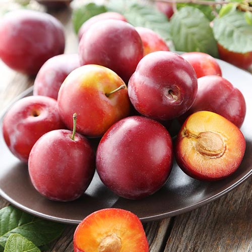 Алыча Карамельная Алыча Карамельная