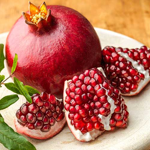 Гранат Азиатский Гранат Азиатский