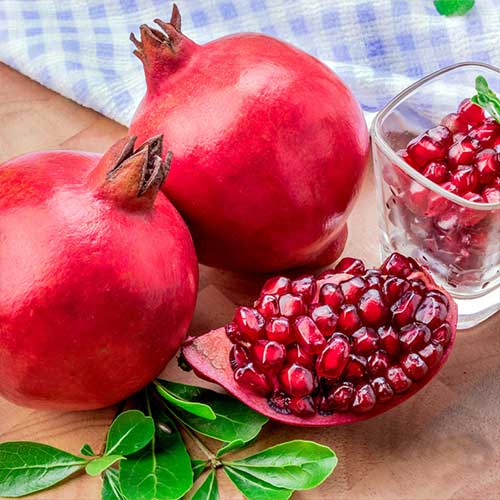 Гранат Красный Гранат Красный