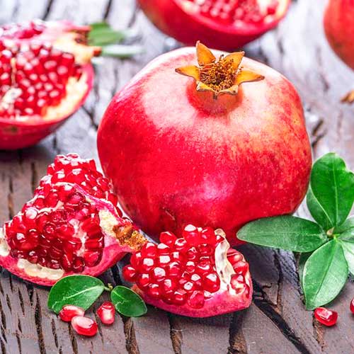 Гранат Восточный Гранат Восточный