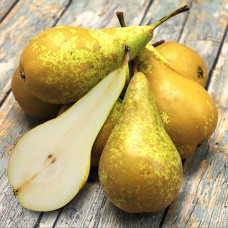 Груша Конференция