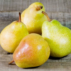 Груша Лада