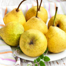 Груша Скороспелка