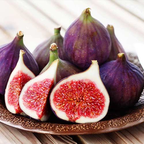 Инжир Крымский черный Инжир Крымский черный