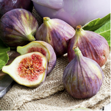 Инжир Медовый