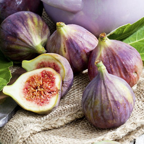 Инжир Медовый Инжир Медовый