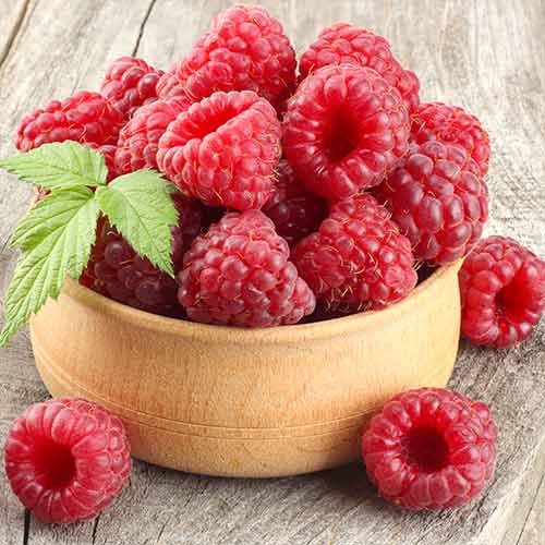 Малина ремонтантная Брусвяна Малина ремонтантная Брусвяна