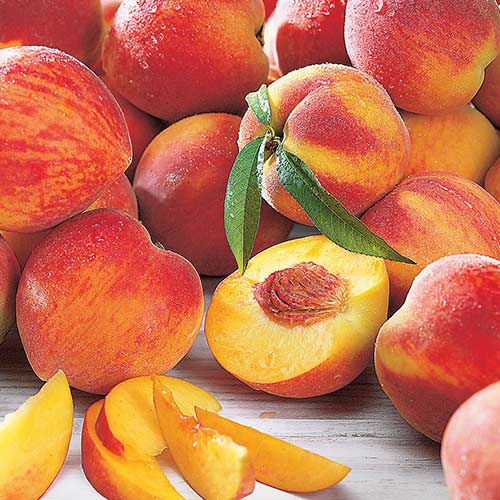 Персик Амбер Голд Персик Амбер Голд