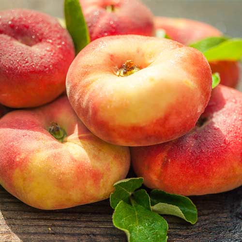 Персик Инжирный Бельмондо Персик Инжирный Бельмондо