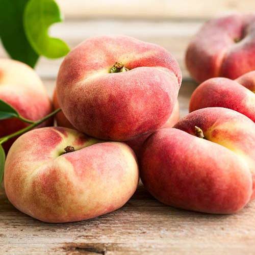 Персик Инжирный Никитинский Персик Инжирный Никитинский