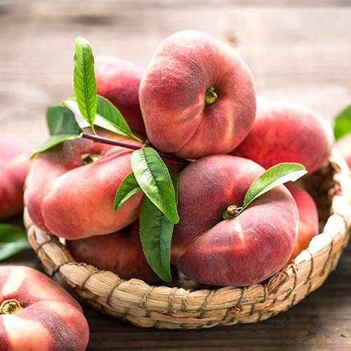 Персик Инжирный Сатурн Персик Инжирный Сатурн