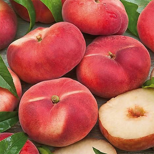 Персик Инжирный Персик Инжирный