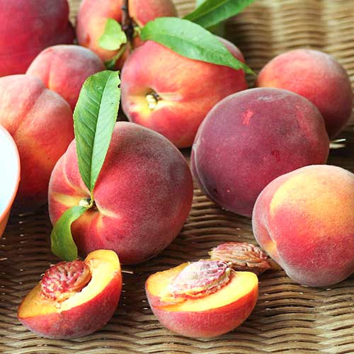 Персик Роял Ви Персик Роял Ви