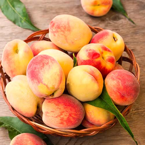 Персик Топ Свит Персик Топ Свит