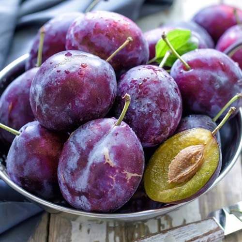 Слива Венгерка итальянская Слива Венгерка итальянская