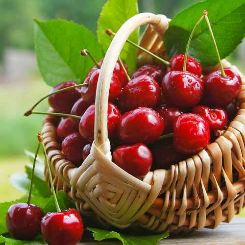 Вишня Десертная Вишня Десертная