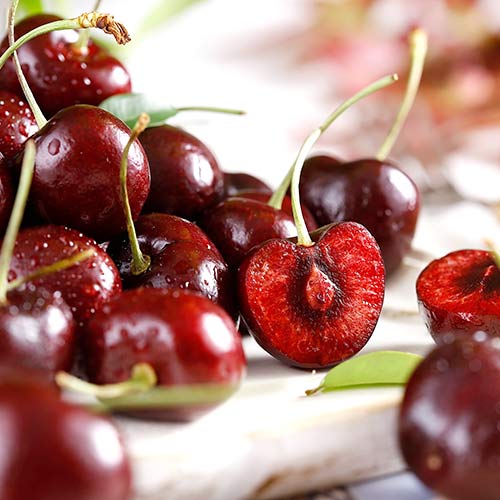 Вишня Лада Вишня Лада