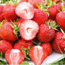 Земклуника Диана (в упаковке 5 шт.)