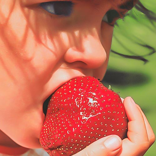 Клубника (крупноплодная) Гигантелла (в упаковке 5 шт.) Клубника (крупноплодная) Гигантелла (в упаковке 5 шт.)