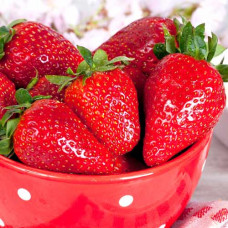 Клубника (крупноплодная) Гигантский деликатес (в упаковке 5 шт.)