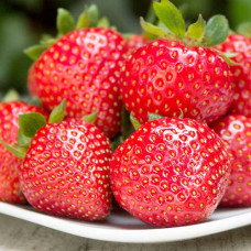 Клубника ремонтантная (крупноплодная) Фурор (в упаковке 5 шт.)