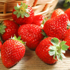 Клубника ремонтантная (крупноплодная) Иришка (в упаковке 5 шт.)