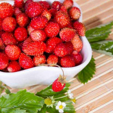 Клубника (мелкоплодная) Регина (в упаковке 5 шт.)